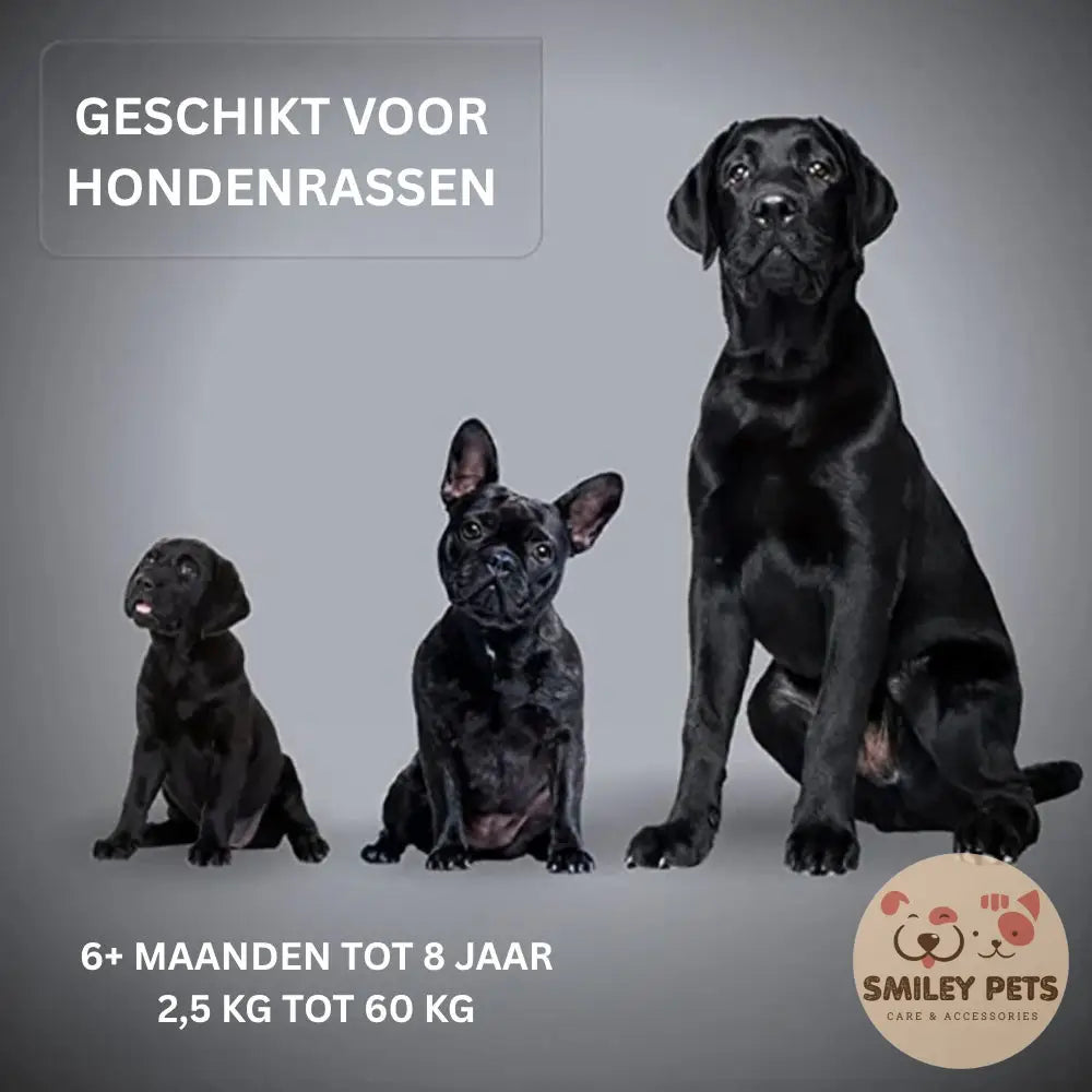 Ultrasone Hondentrainer - Ervaar Rust